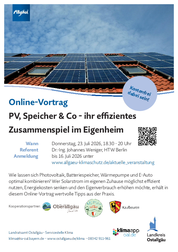 Online-Webinar