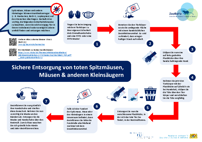 Informationen zur Vermeidung von  Hantavirus-Infektionen
